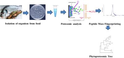 Multi-Omics Approach in Amelioration of Food Products